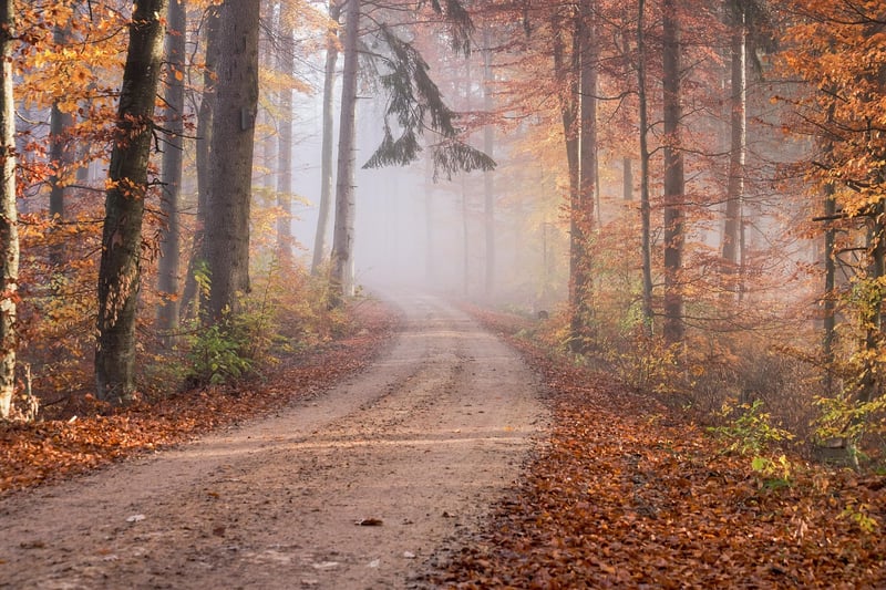 Path to personal growth